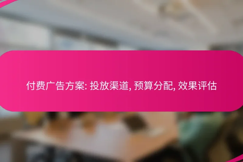 付费广告方案: 投放渠道, 预算分配, 效果评估