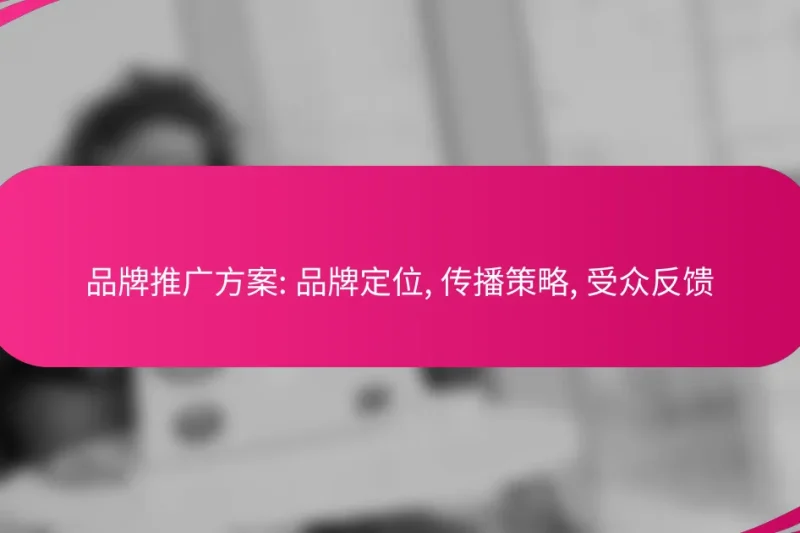 品牌推广方案: 品牌定位, 传播策略, 受众反馈